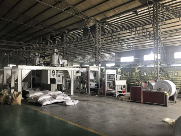 Yiyang Wanlin Weave Packing Co., Ltd. linha de produção da fábrica