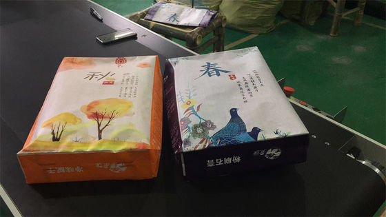 A estrela BOPP do anúncio laminou do bloco plástico do cimento dos sacos o saco inferior tecido PP 40KG 50KG