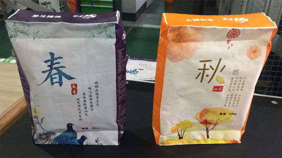 A estrela BOPP do anúncio laminou do bloco plástico do cimento dos sacos o saco inferior tecido PP 40KG 50KG